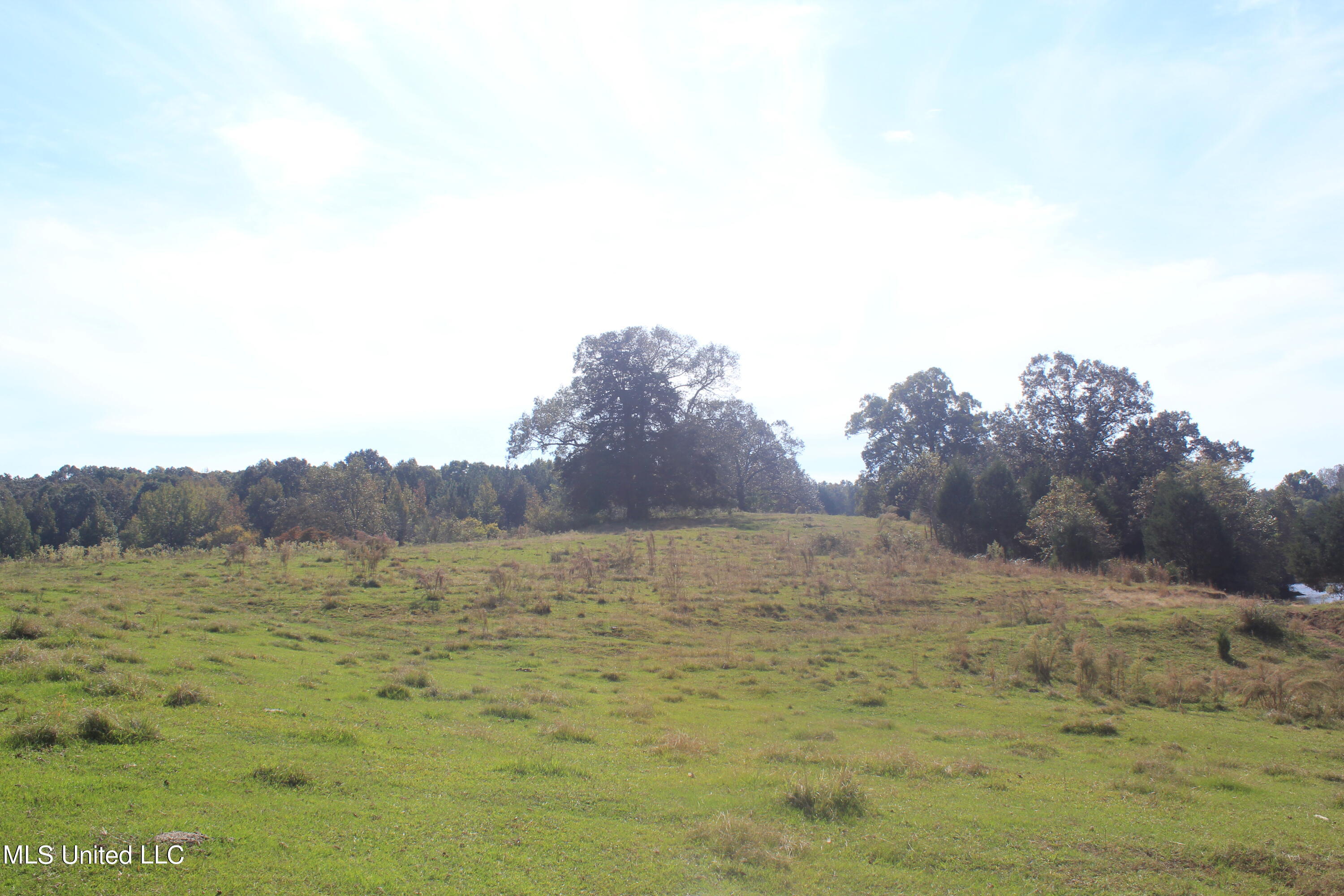 1651 Bethlehem Road Waterford, MS 38685 - Photo 12 of 40 IMG_7636