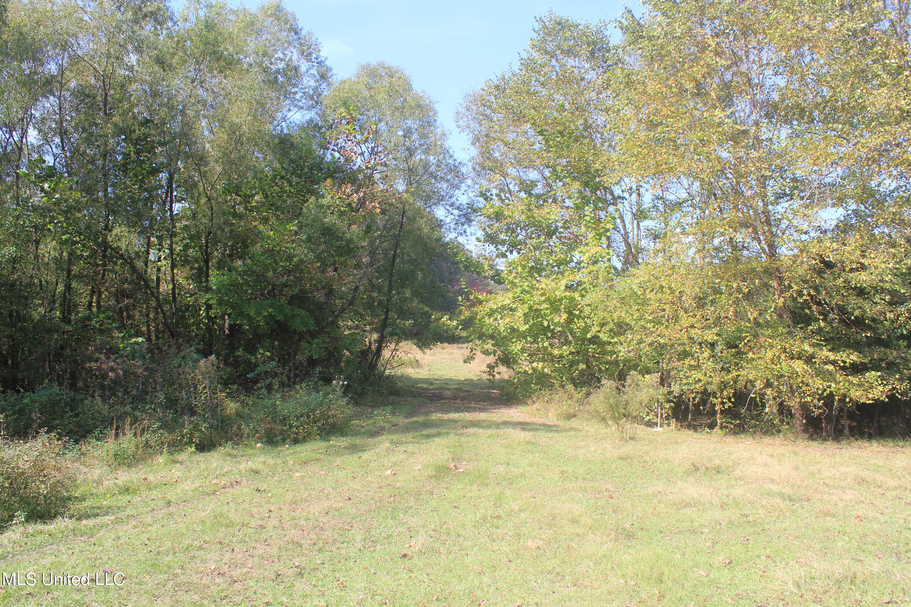1651 Bethlehem Road Waterford, MS 38685 - Photo 13 of 40 IMG_7637