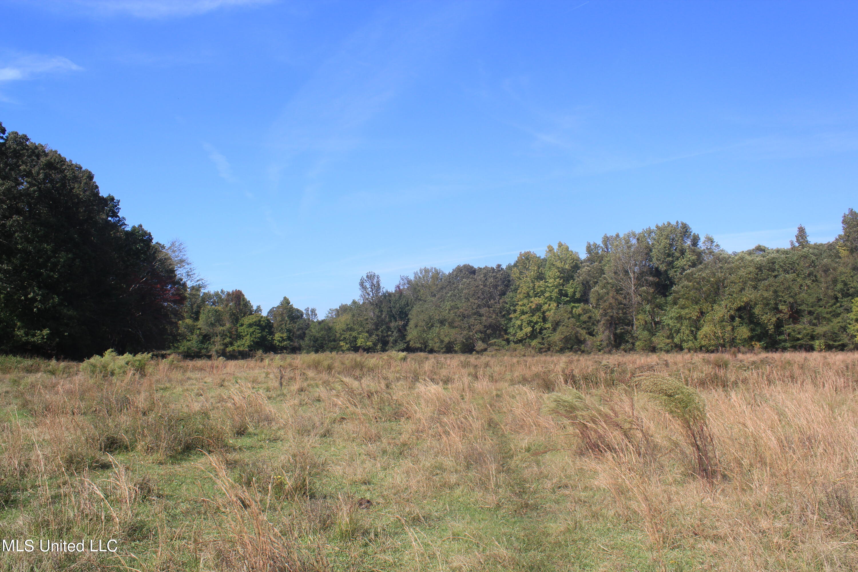 1651 Bethlehem Road Waterford, MS 38685 - Photo 14 of 40 IMG_7638