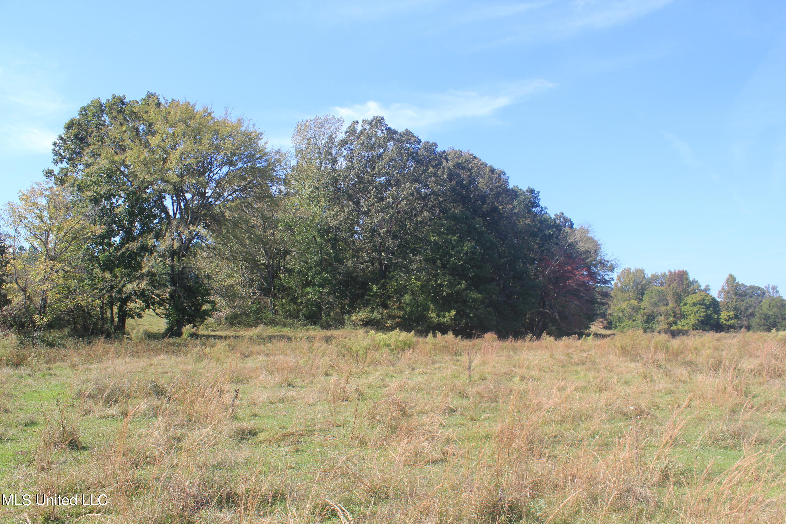 1651 Bethlehem Road Waterford, MS 38685 - Photo 15 of 40 IMG_7639