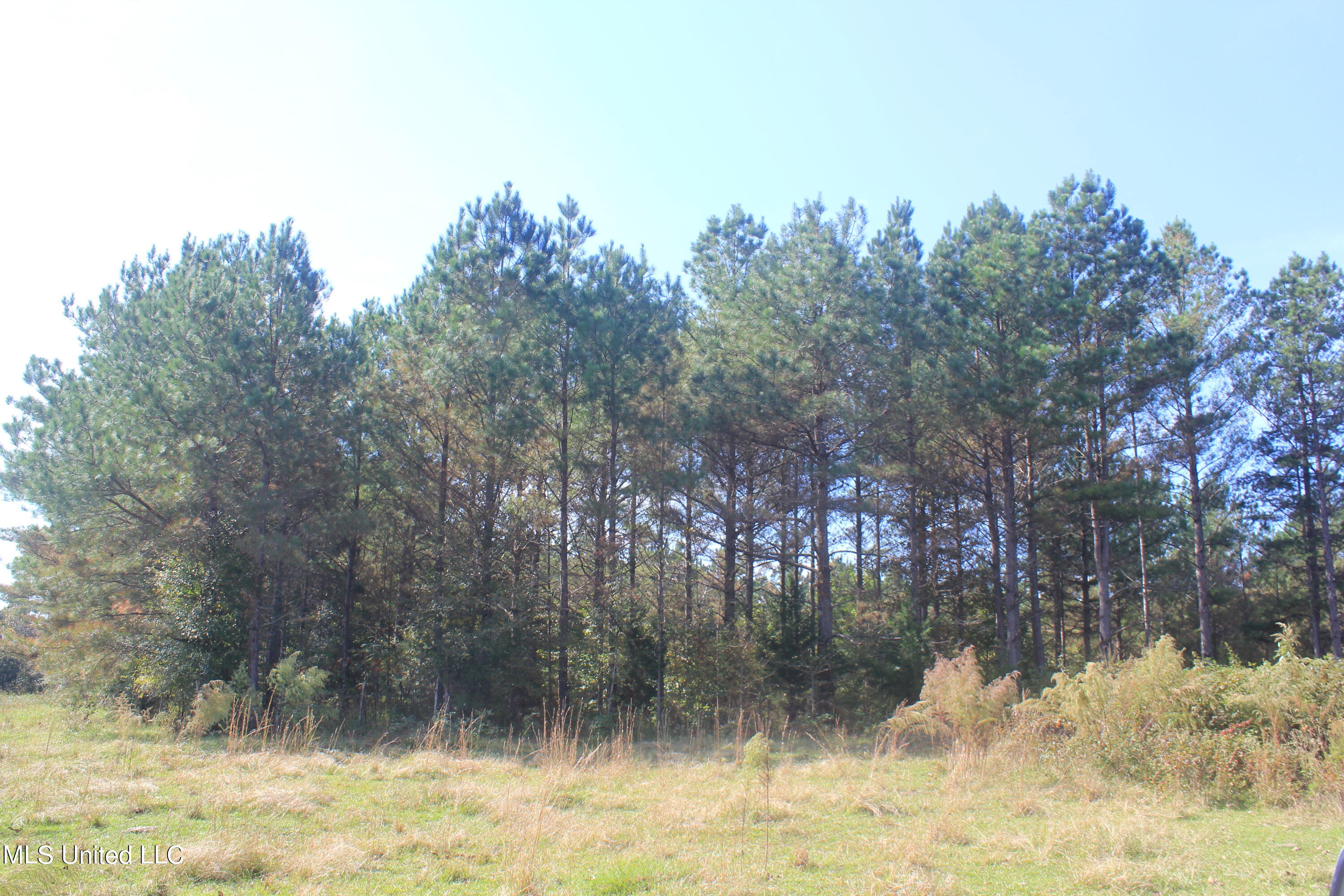 1651 Bethlehem Road Waterford, MS 38685 - Photo 18 of 40 IMG_7642
