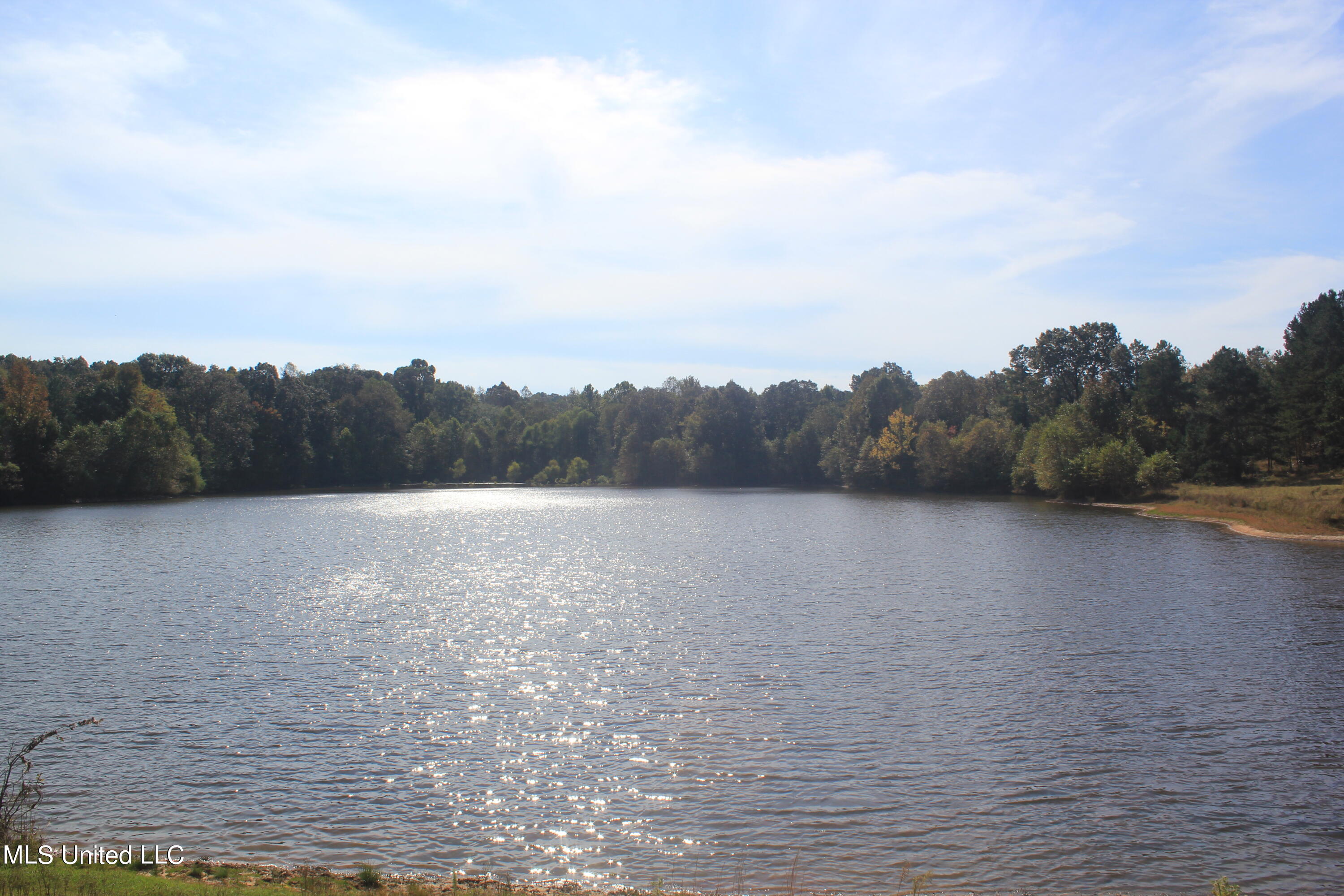 1651 Bethlehem Road Waterford, MS 38685 - Photo 19 of 40 IMG_7643