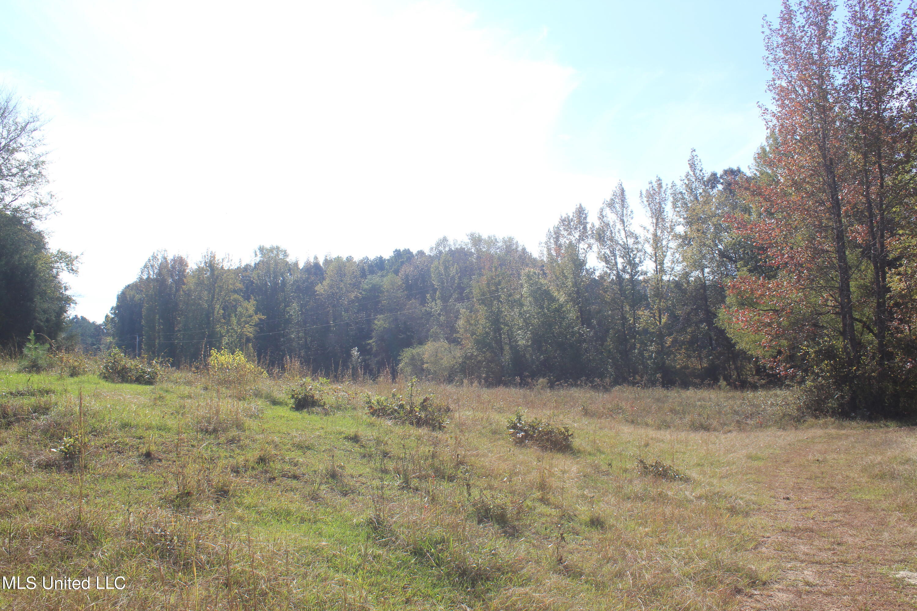 1651 Bethlehem Road Waterford, MS 38685 - Photo 2 of 40 IMG_7626