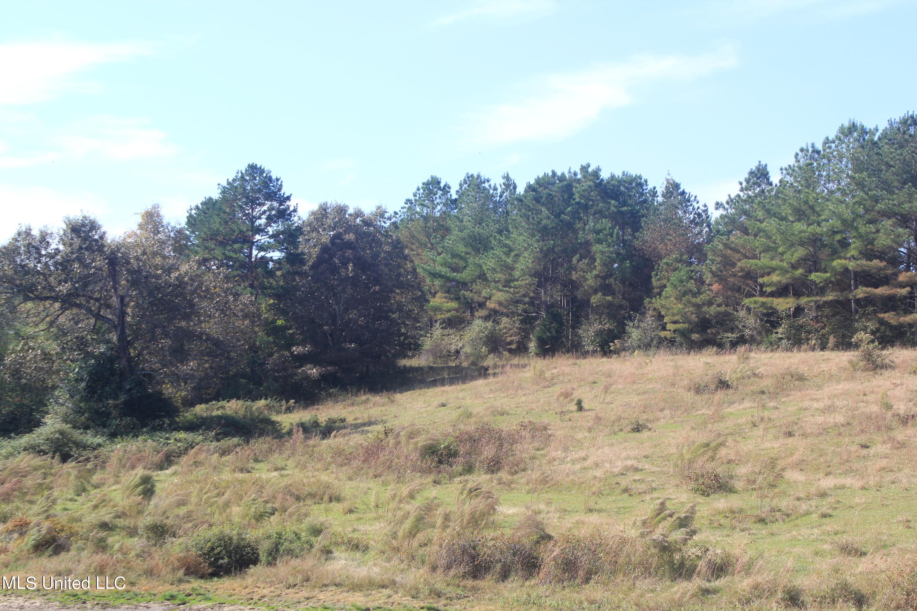 1651 Bethlehem Road Waterford, MS 38685 - Photo 21 of 40 IMG_7645