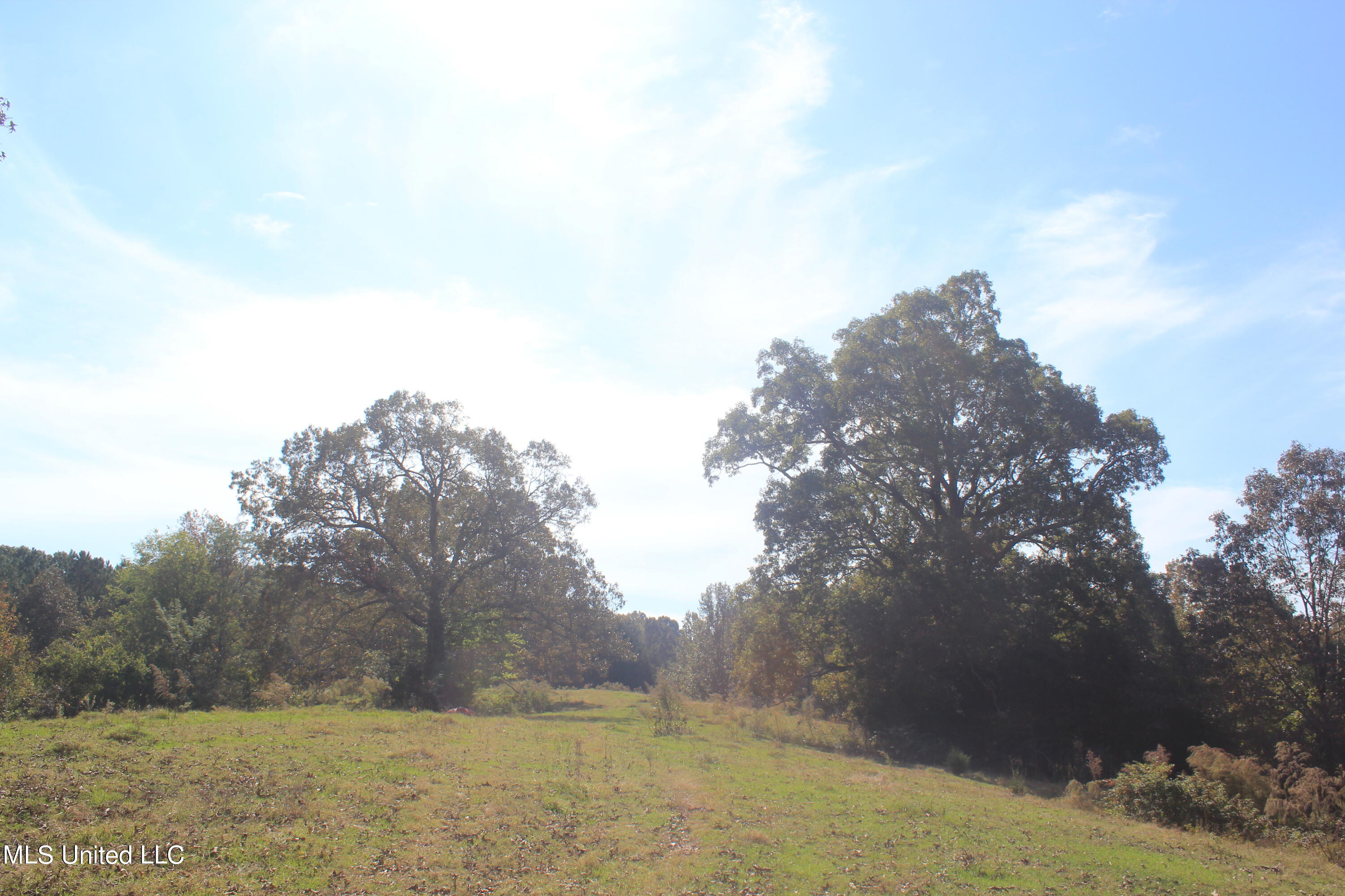 1651 Bethlehem Road Waterford, MS 38685 - Photo 22 of 40 IMG_7646