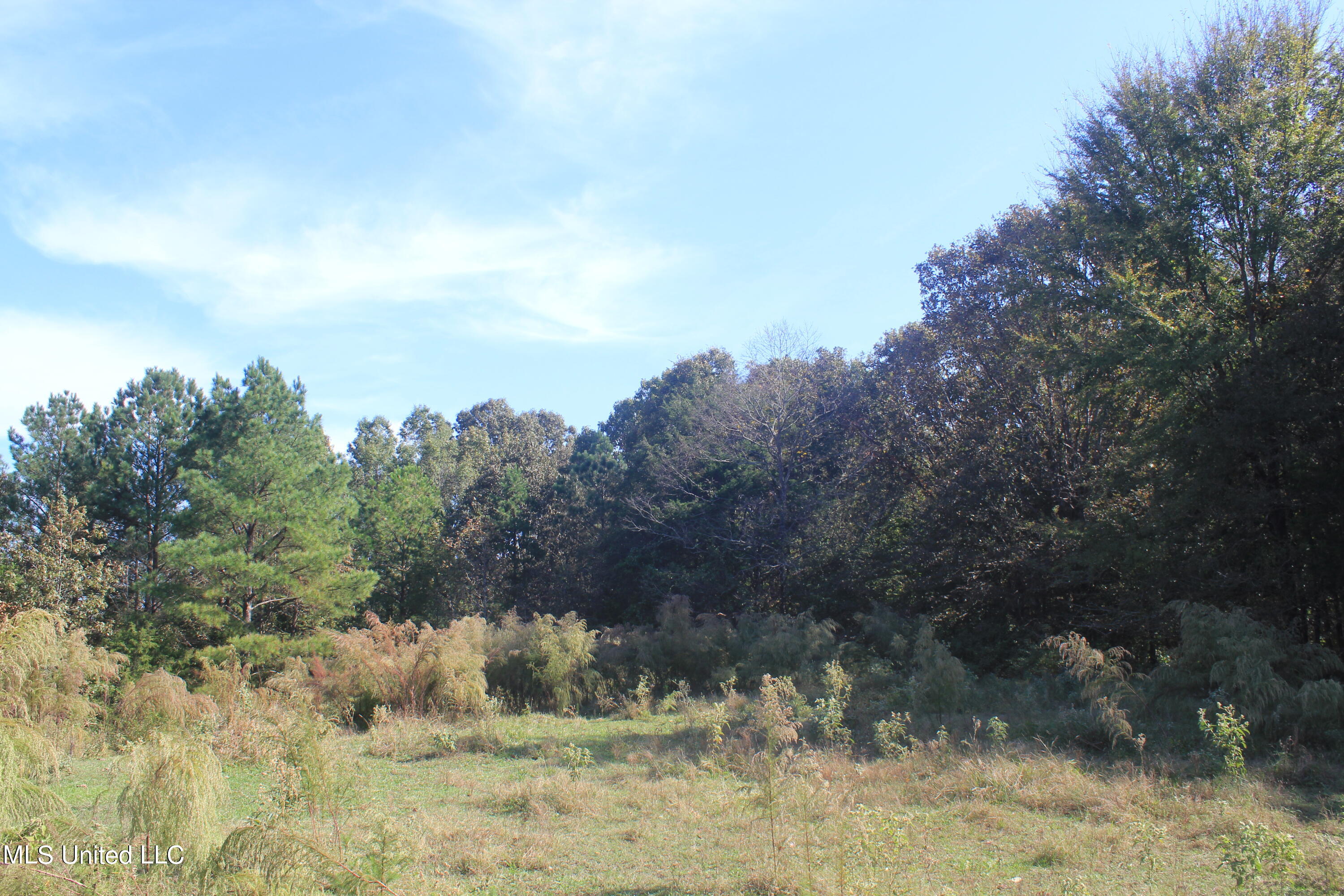 1651 Bethlehem Road Waterford, MS 38685 - Photo 24 of 40 IMG_7648