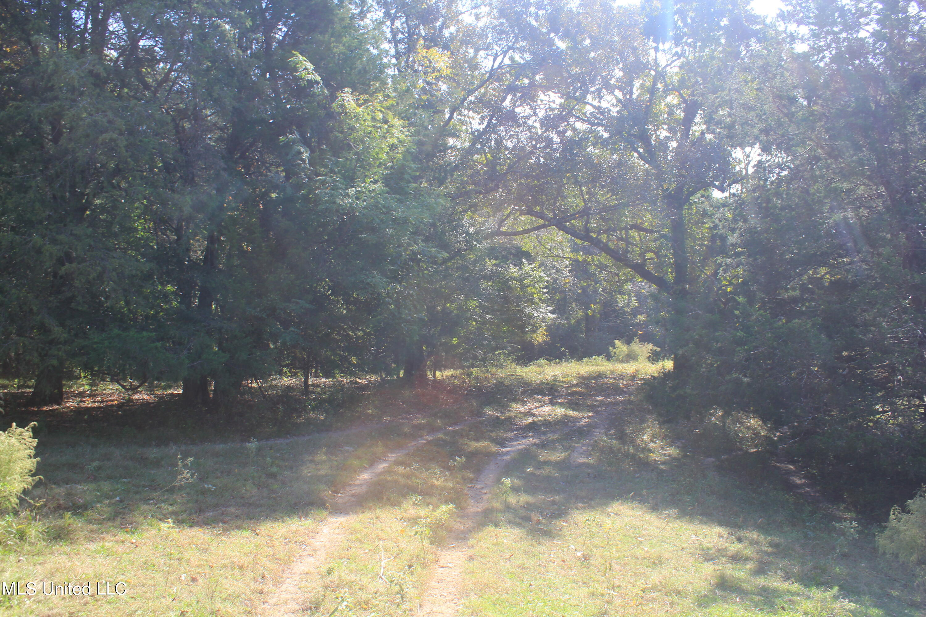 1651 Bethlehem Road Waterford, MS 38685 - Photo 25 of 40 IMG_7649