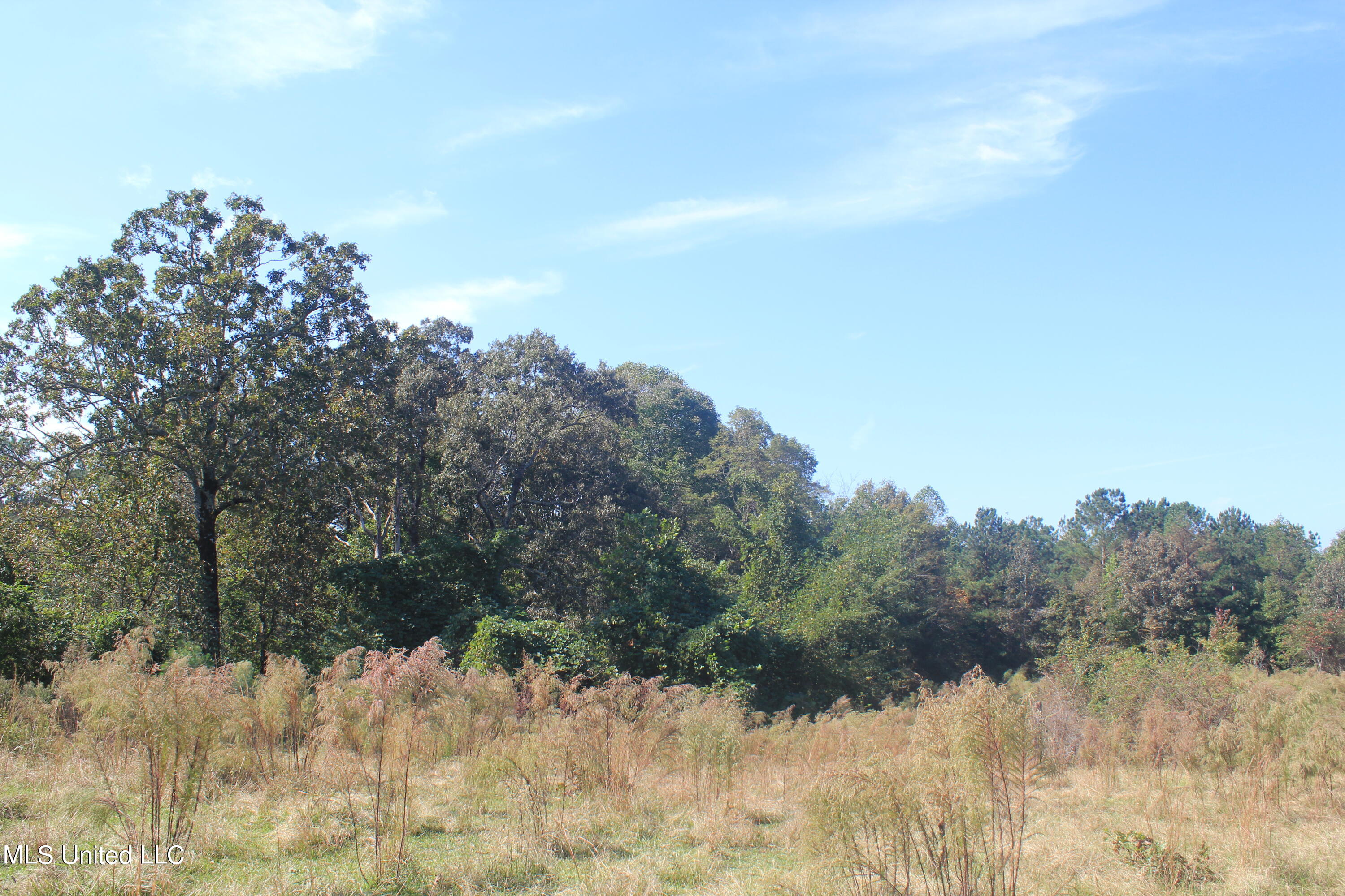1651 Bethlehem Road Waterford, MS 38685 - Photo 28 of 40 IMG_7652