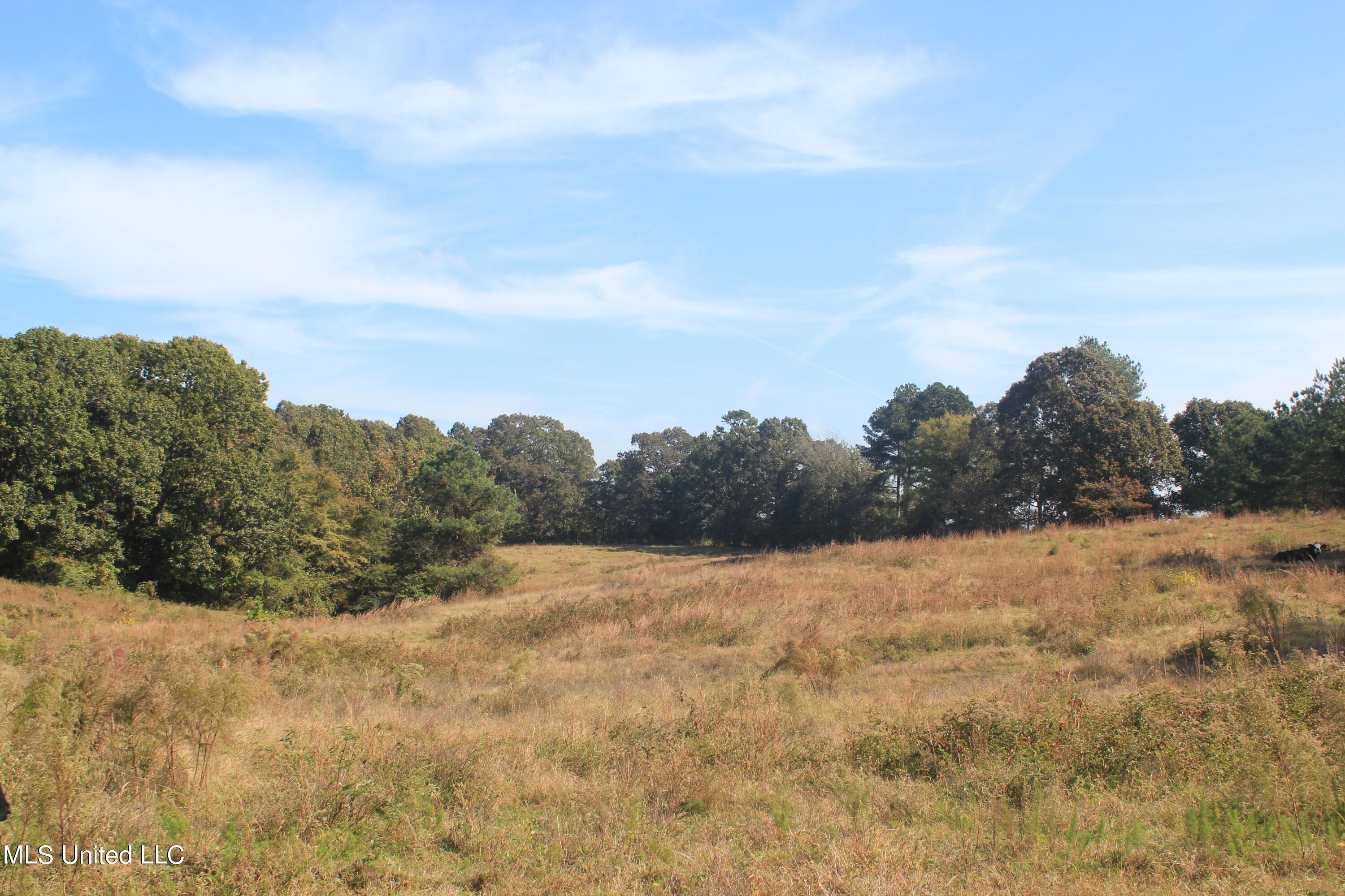 1651 Bethlehem Road Waterford, MS 38685 - Photo 31 of 40 IMG_7655