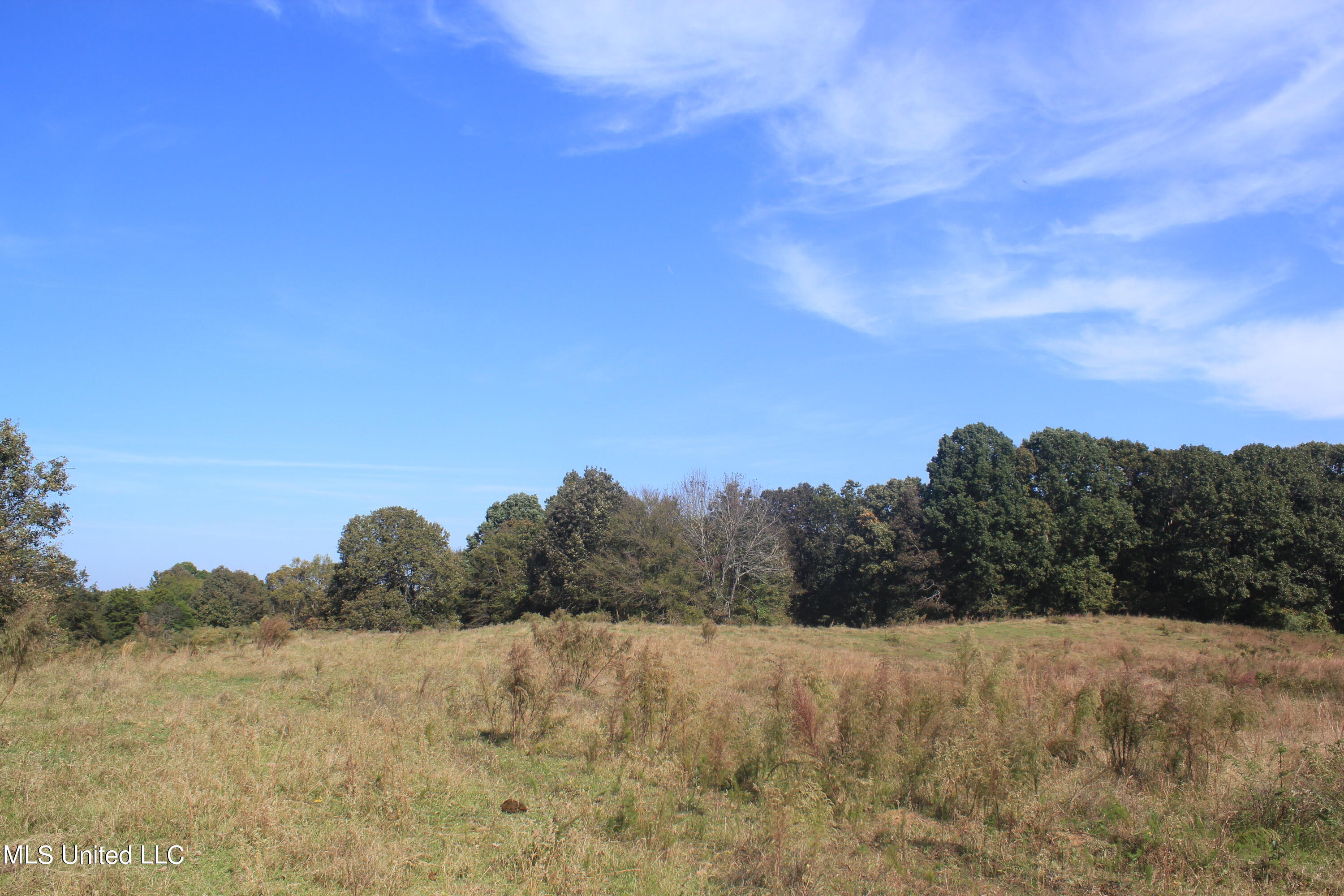 1651 Bethlehem Road Waterford, MS 38685 - Photo 32 of 40 IMG_7656