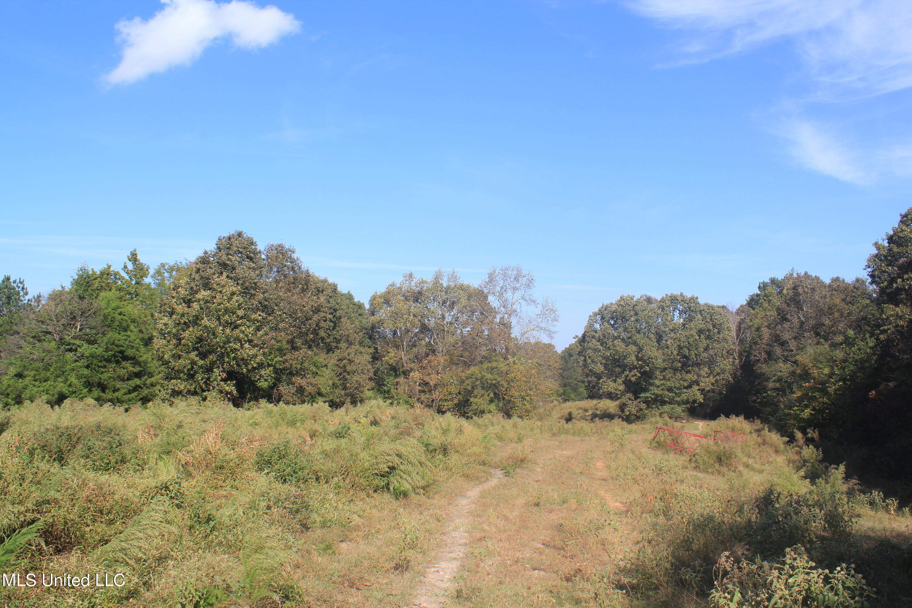 1651 Bethlehem Road Waterford, MS 38685 - Photo 35 of 40 IMG_7659