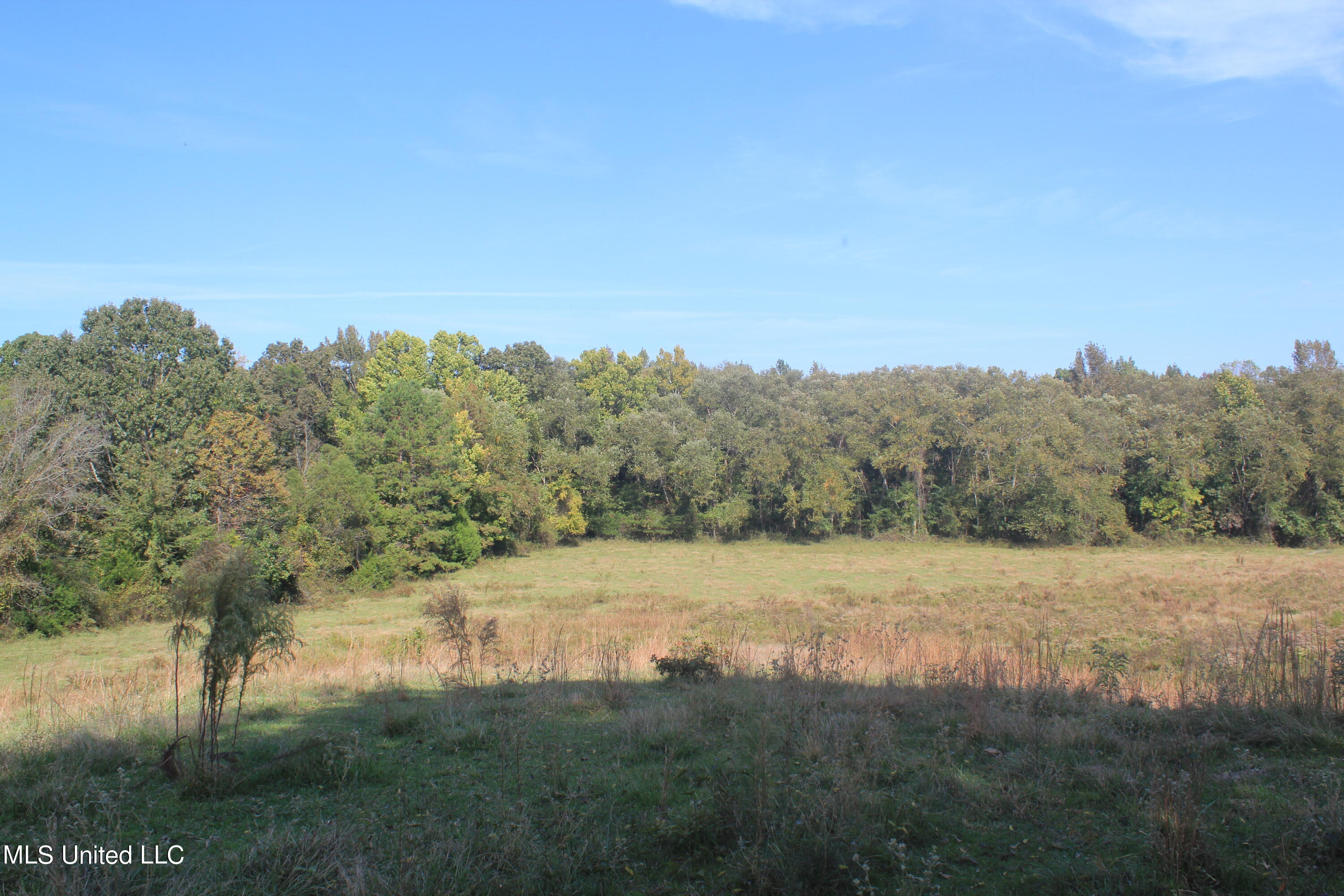 1651 Bethlehem Road Waterford, MS 38685 - Photo 10 of 40 IMG_7634