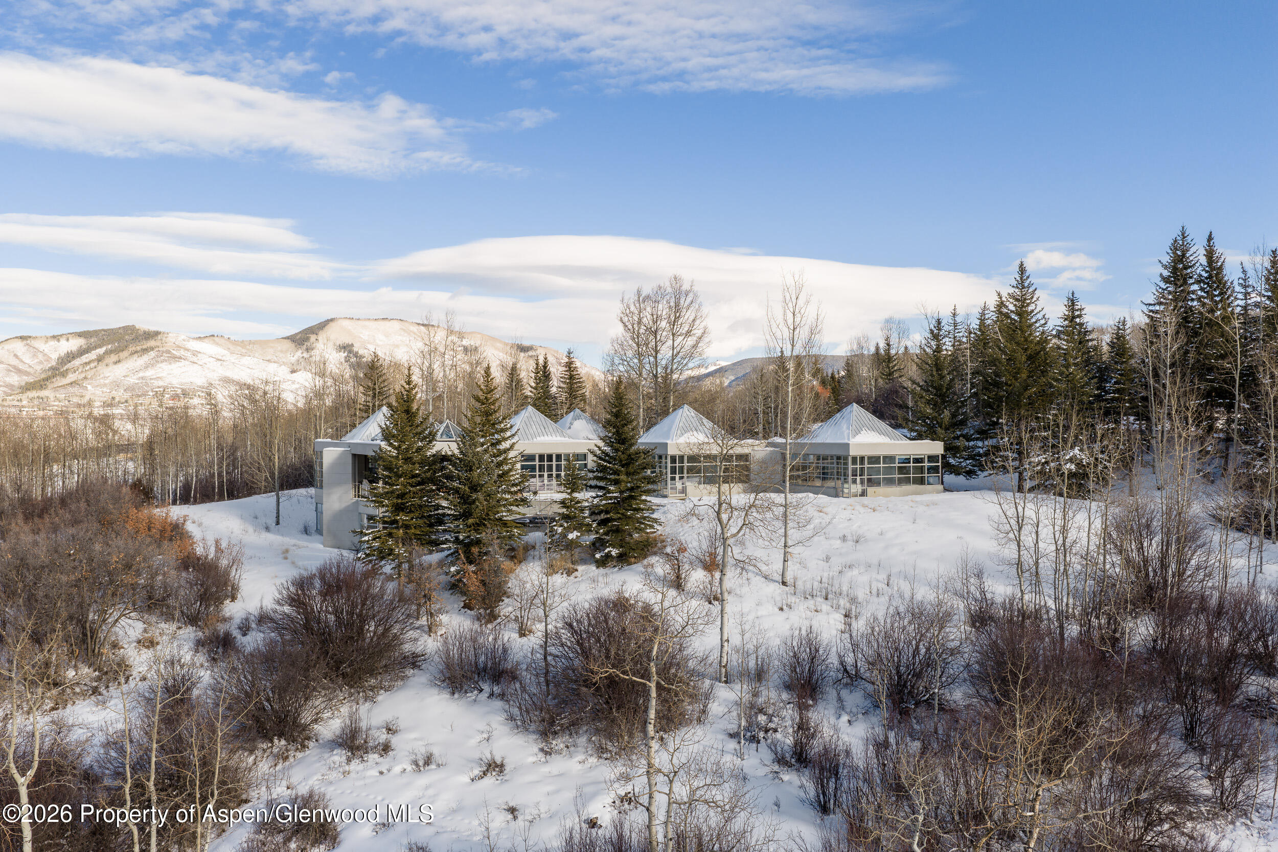 821 Cluny Road Aspen, CO 81611 - Photo 26 of 27 a view of a yard
