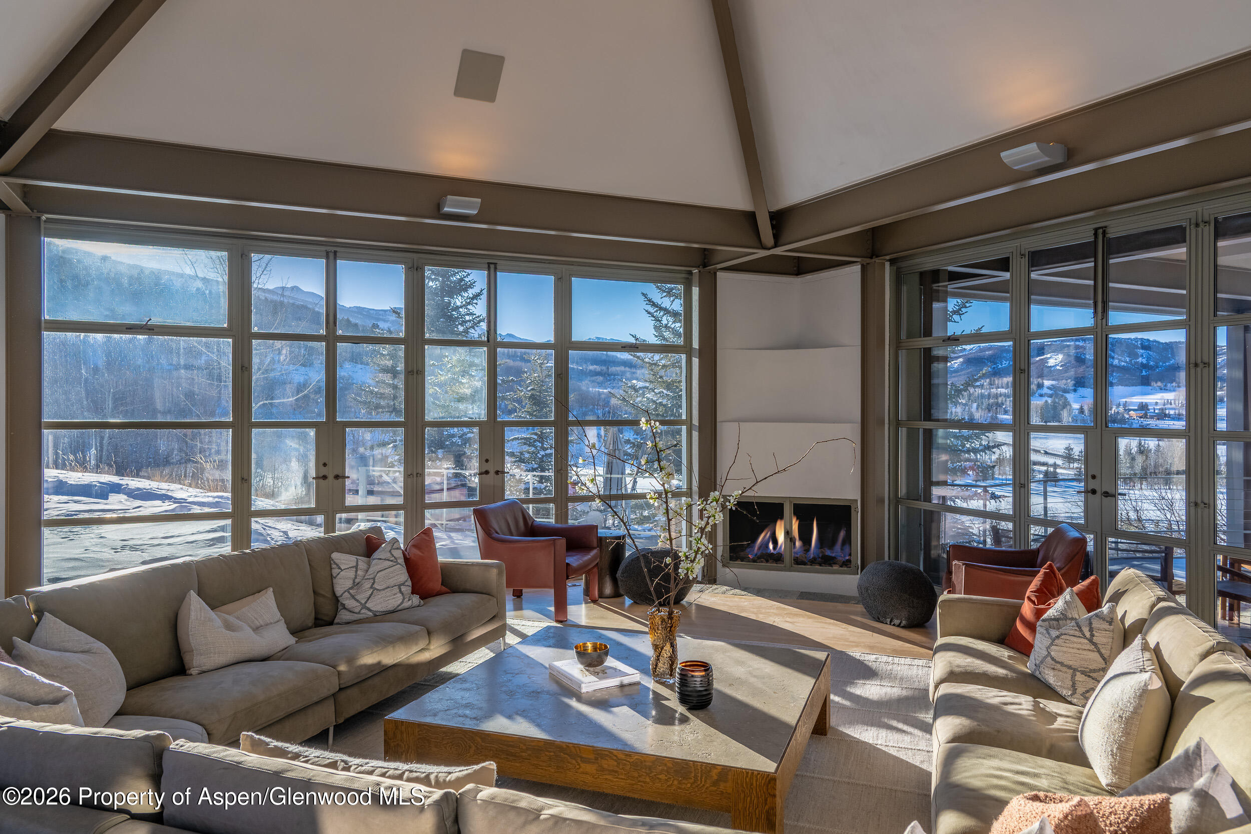 821 Cluny Road Aspen, CO 81611 - Photo 10 of 27 a living room with furniture and a fireplace