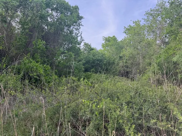 $275,000 | 25230 Lake Ridge, Navasota, TX 77868