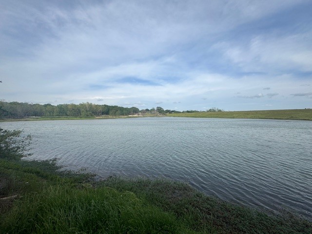 25230 Lake Ridge Navasota, TX 77868 - Photo 11 of 21