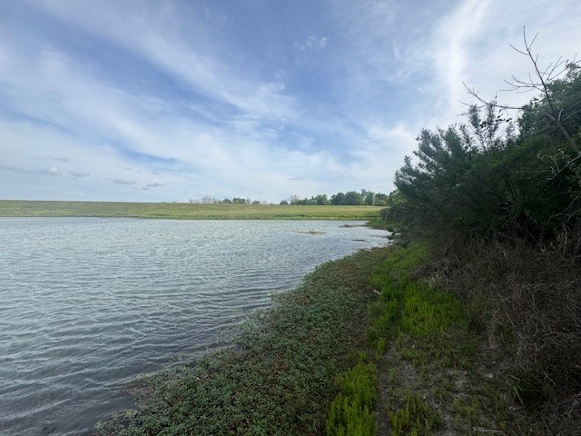 25230 Lake Ridge Navasota, TX 77868 - Photo 13 of 21