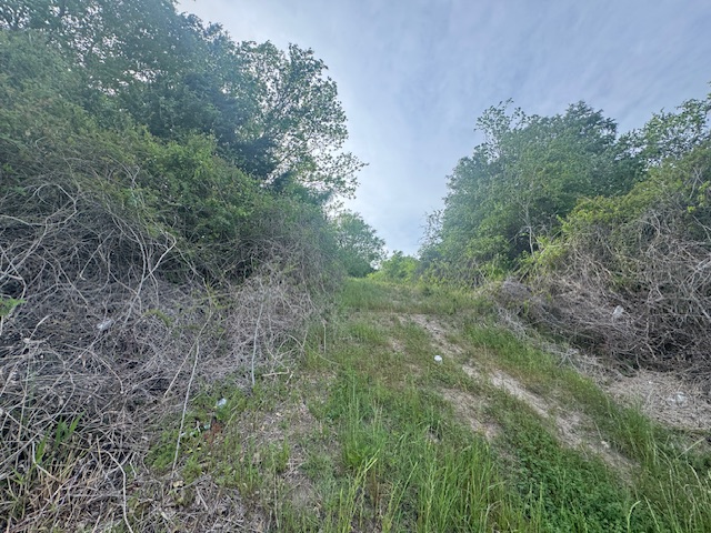 25230 Lake Ridge Navasota, TX 77868 - Photo 14 of 21