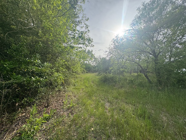 25230 Lake Ridge Navasota, TX 77868 - Photo 15 of 21