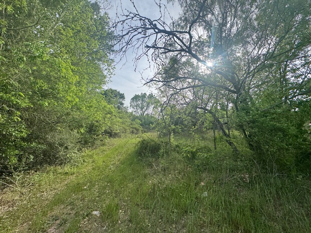 25230 Lake Ridge Navasota, TX 77868 - Photo 16 of 21