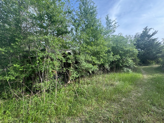 25230 Lake Ridge Navasota, TX 77868 - Photo 17 of 21