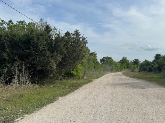 25230 Lake Ridge Navasota, TX 77868 - Photo 18 of 21