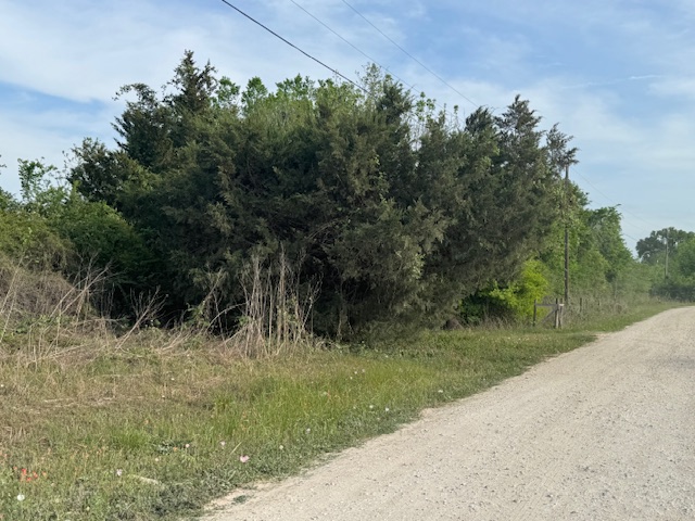 25230 Lake Ridge Navasota, TX 77868 - Photo 19 of 21