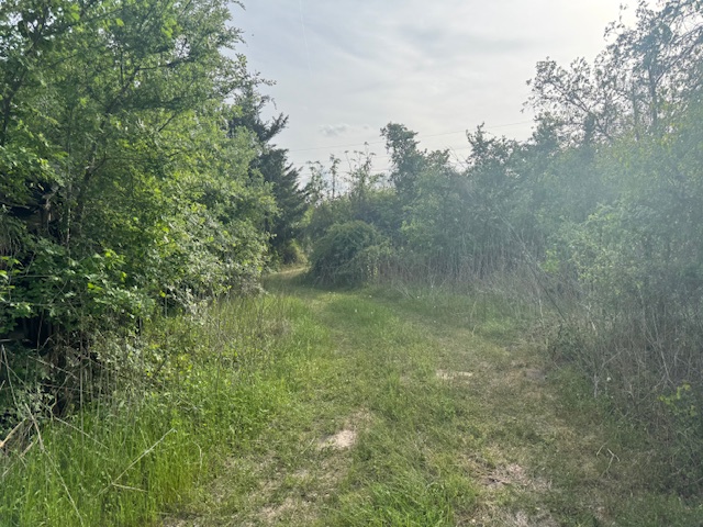 25230 Lake Ridge Navasota, TX 77868 - Photo 2 of 21