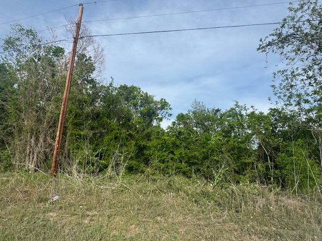 25230 Lake Ridge Navasota, TX 77868 - Photo 21 of 21