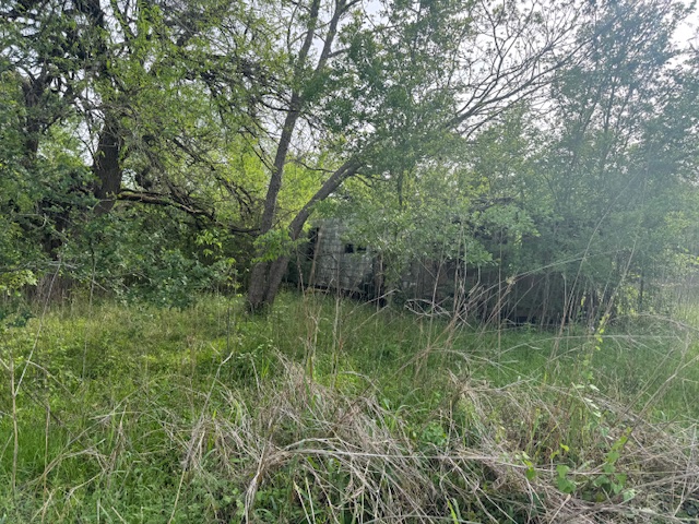 25230 Lake Ridge Navasota, TX 77868 - Photo 3 of 21