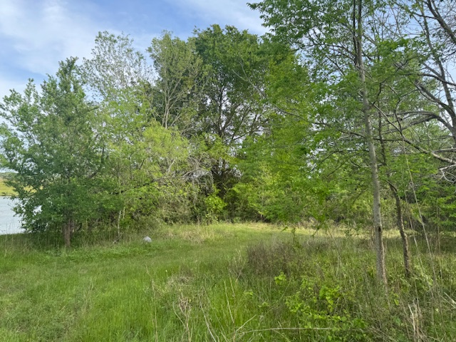 25230 Lake Ridge Navasota, TX 77868 - Photo 5 of 21