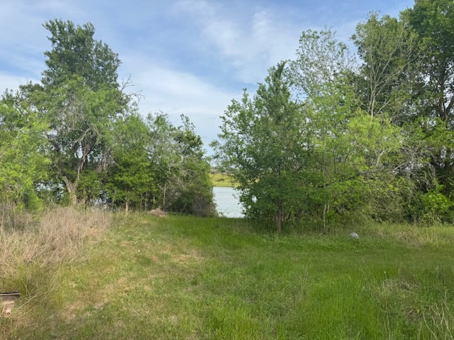 25230 Lake Ridge Navasota, TX 77868 - Photo 6 of 21