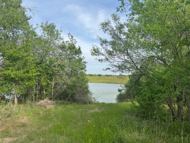 25230 Lake Ridge Navasota, TX 77868 - Photo 7 of 21