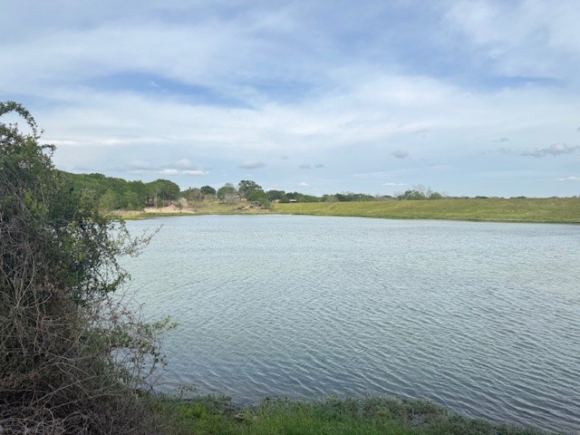 25230 Lake Ridge Navasota, TX 77868 - Photo 8 of 21