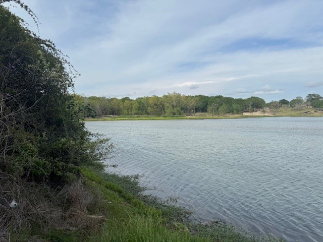 25230 Lake Ridge Navasota, TX 77868 - Photo 9 of 21