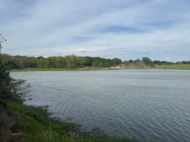 25230 Lake Ridge Navasota, TX 77868 - Photo 10 of 21