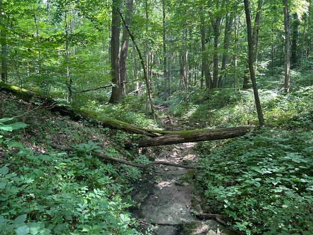 24229 Sanes Creek Road Laurel, IN 47024 - Photo 28 of 54