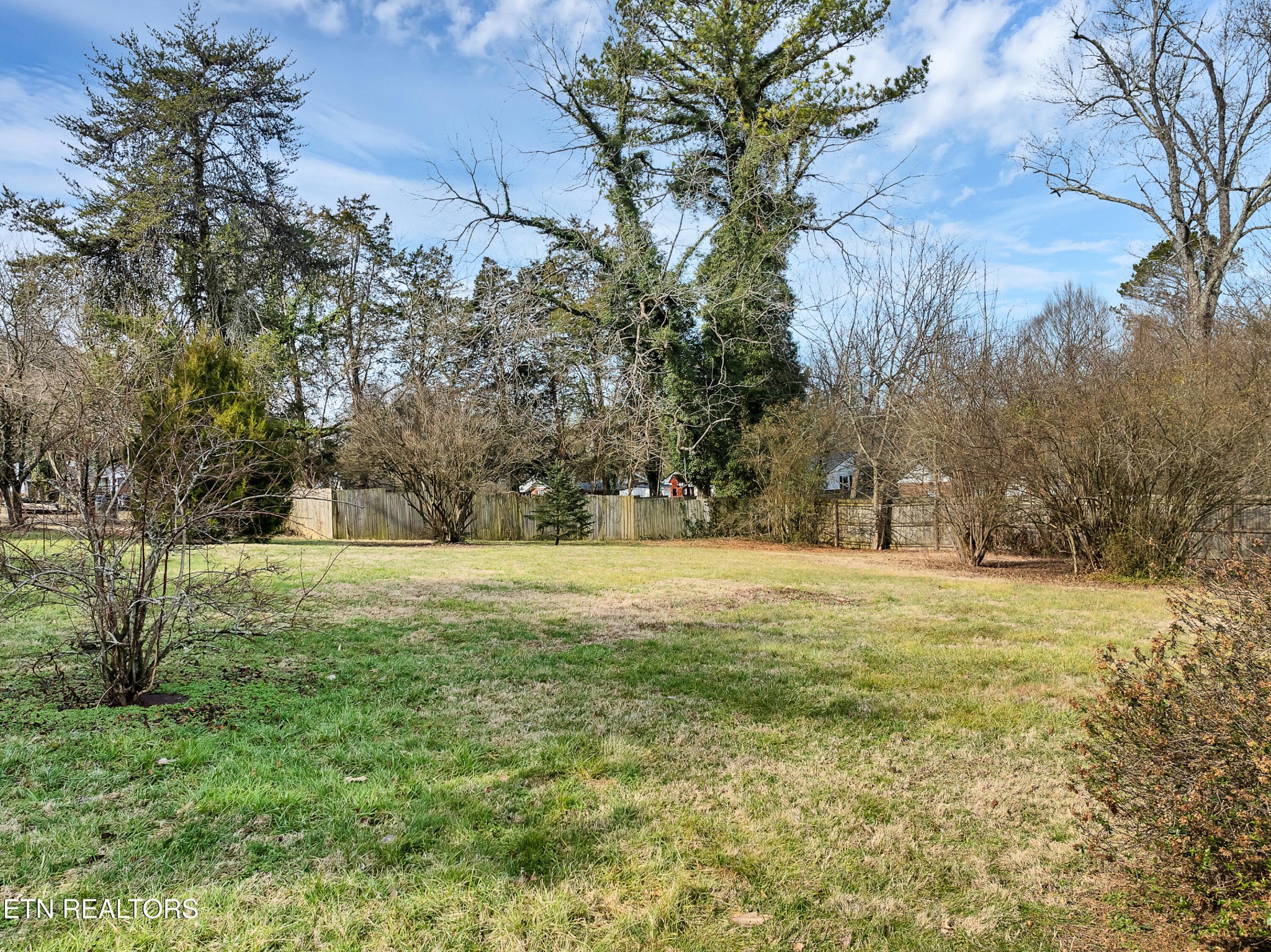 409 Bridge View Lane Knoxville, TN 37914 - Photo 33 of 37 a view of field with trees