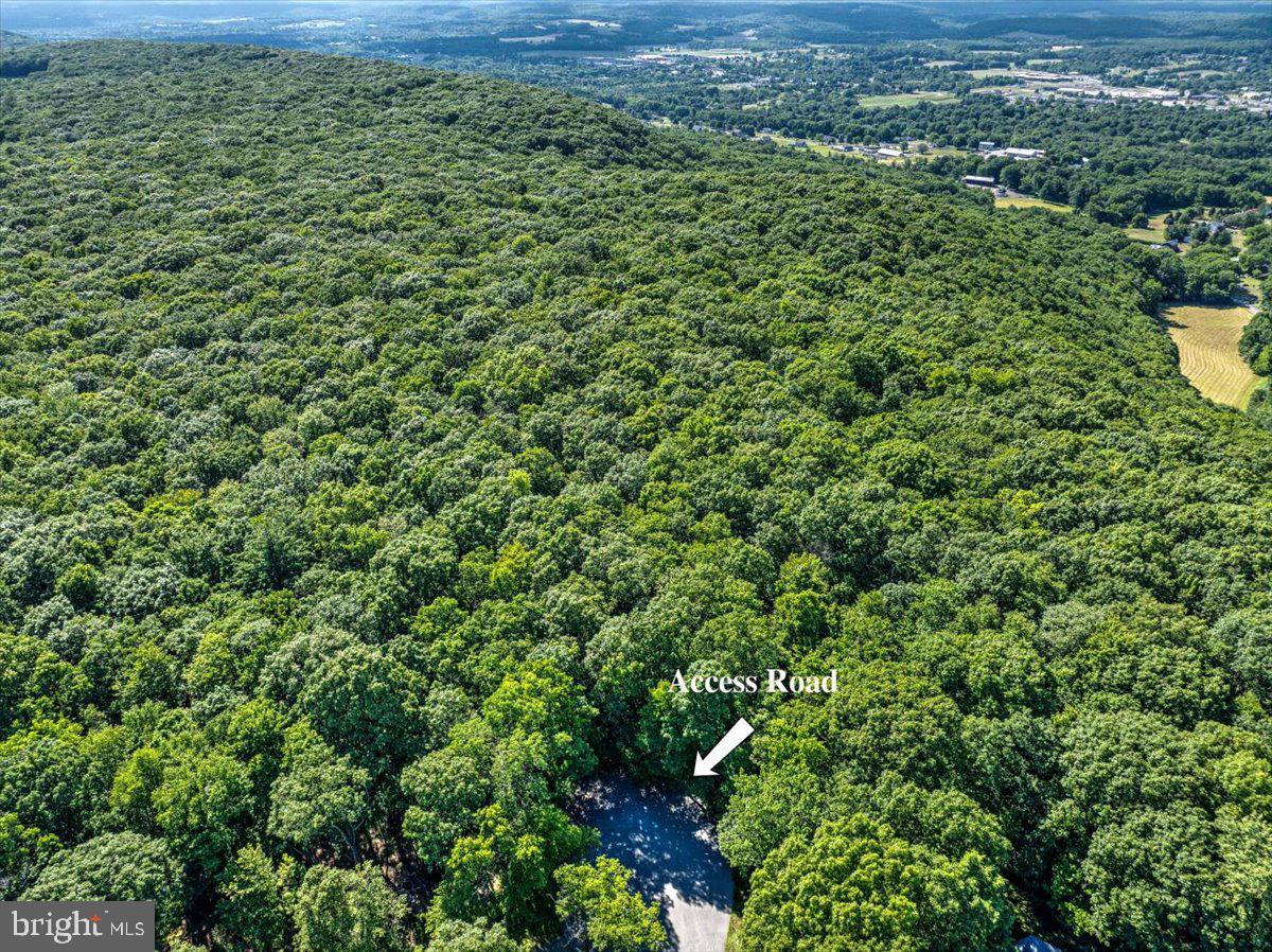 Blue Ridge Road Saylorsburg, PA 18353 - Photo 6 of 18