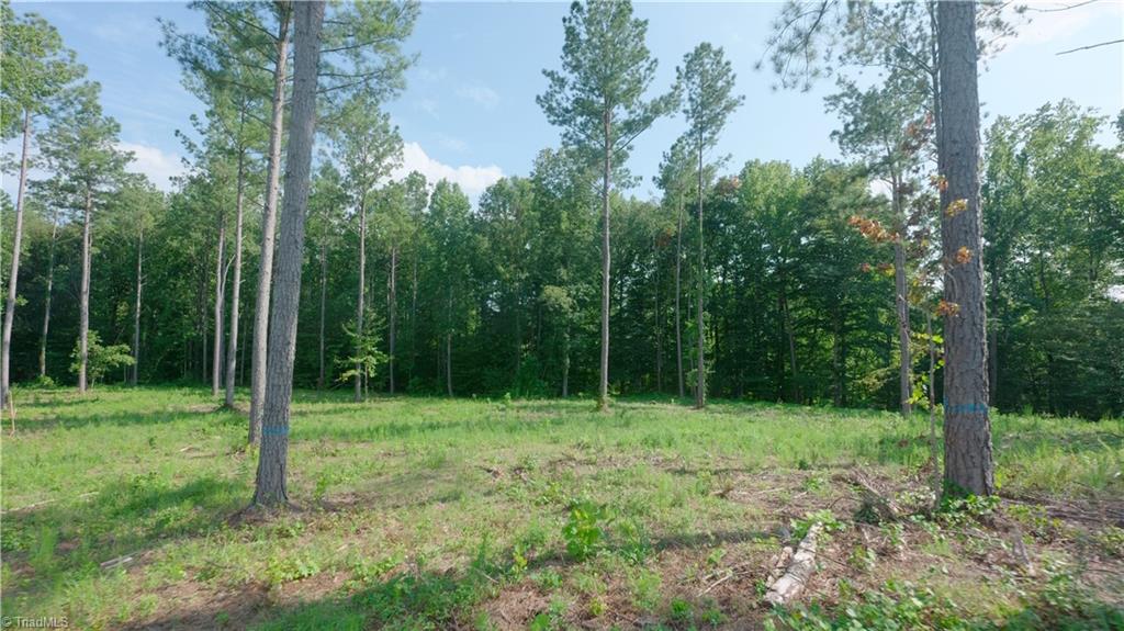 8 Carson Road Cleveland, NC 27013 - Photo 4 of 23