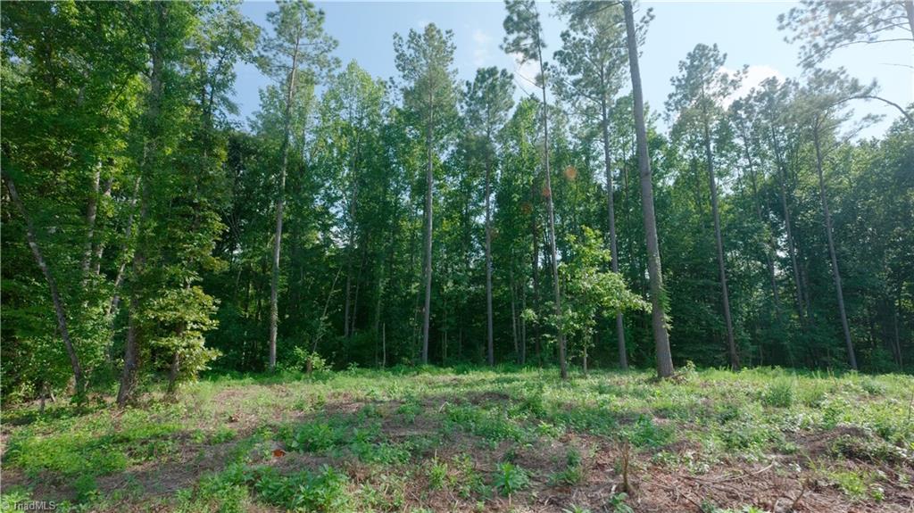 8 Carson Road Cleveland, NC 27013 - Photo 5 of 23