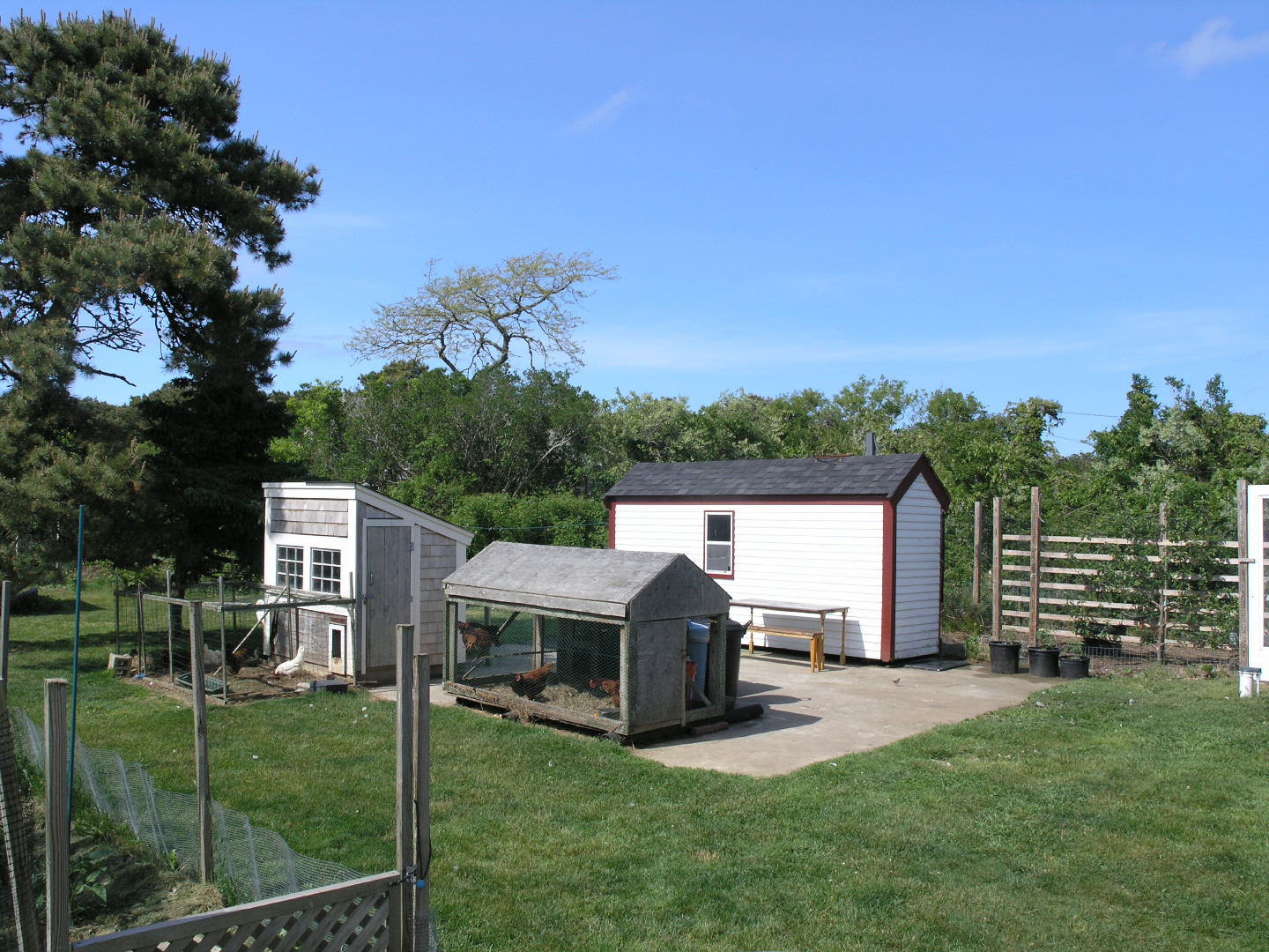 171 Hummock Pond Road, Unit 1 Nantucket, MA 02554 - Photo 6 of 21 Gallery Image 6