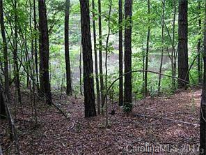 Lot 3 Jim Sossoman Road, Unit LOT 3 Midland, NC 28107 - Photo 6 of 7 Gallery Image 6