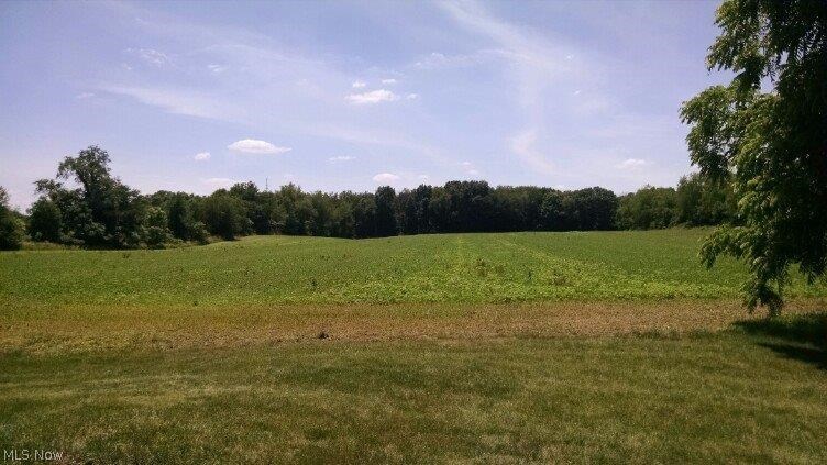 3526 Minor Road Akron, OH 44321 - Photo 1 of 1