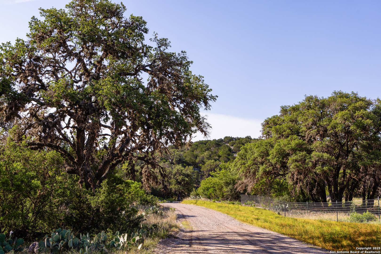 14910 Bullhead Road Barksdale, TX 78880 - Photo 26 of 50 a view of a yard with an tree