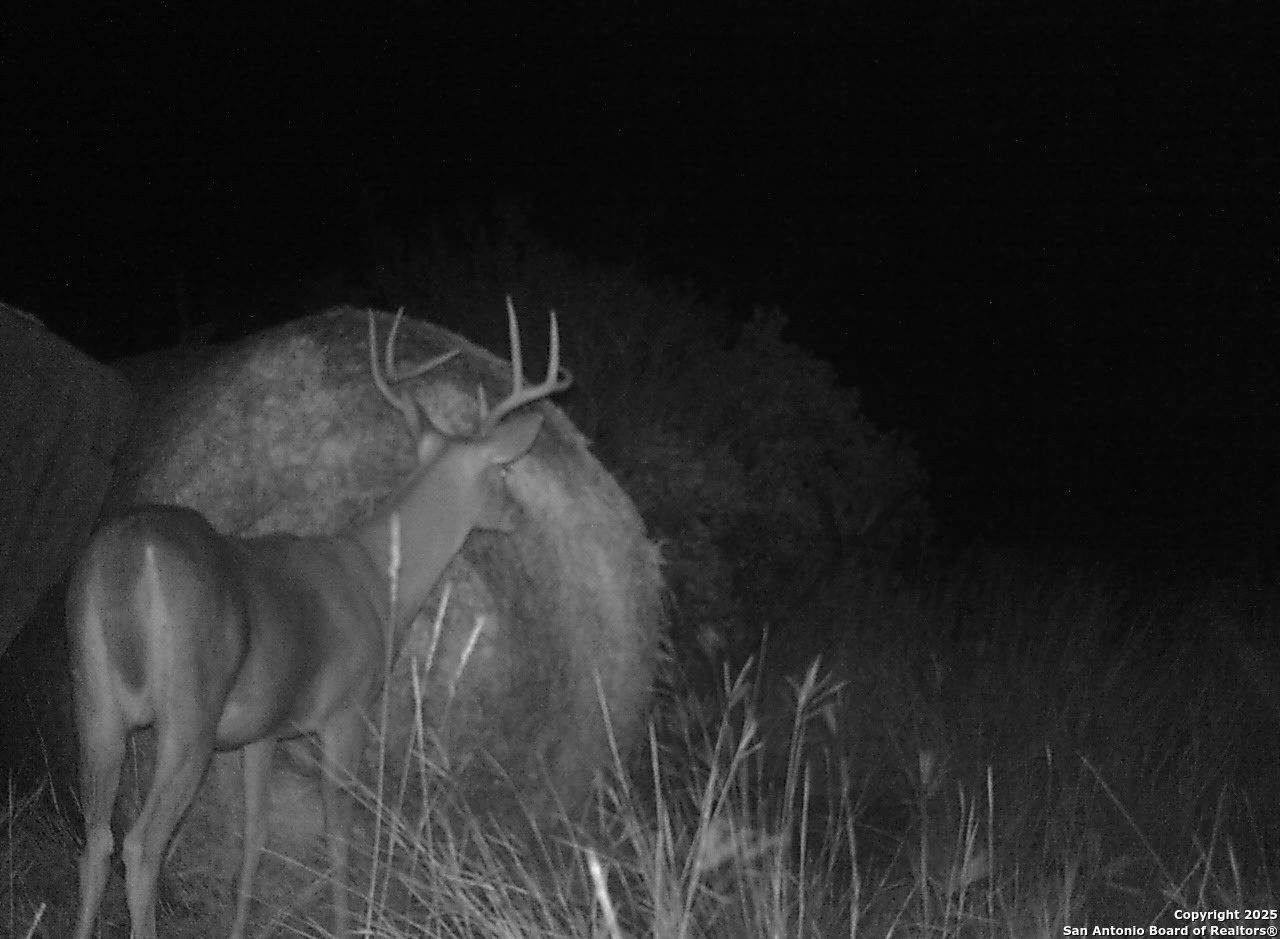 14910 Bullhead Road Barksdale, TX 78880 - Photo 45 of 50 a close view of tap