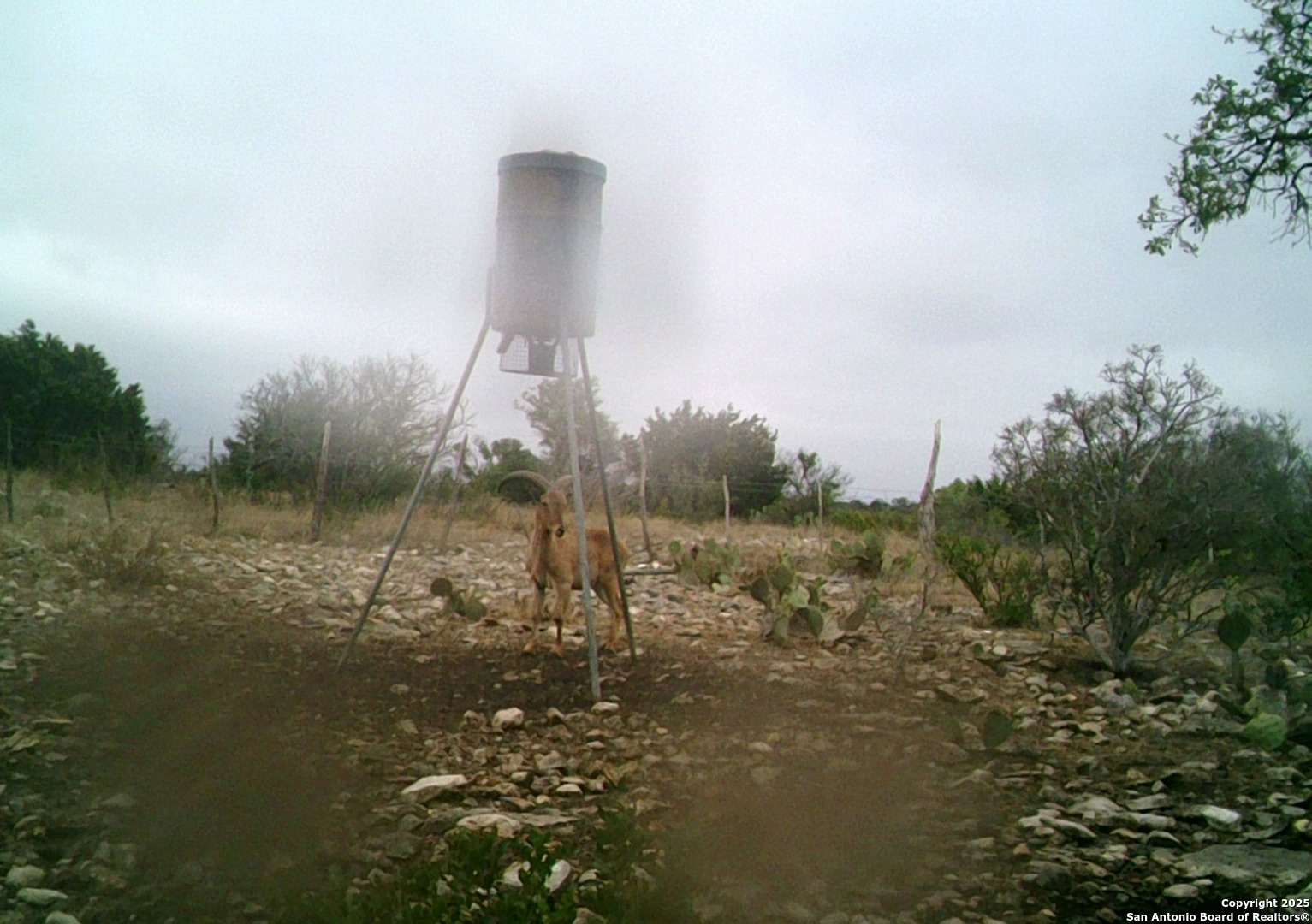 14910 Bullhead Road Barksdale, TX 78880 - Photo 48 of 50 a view of lake