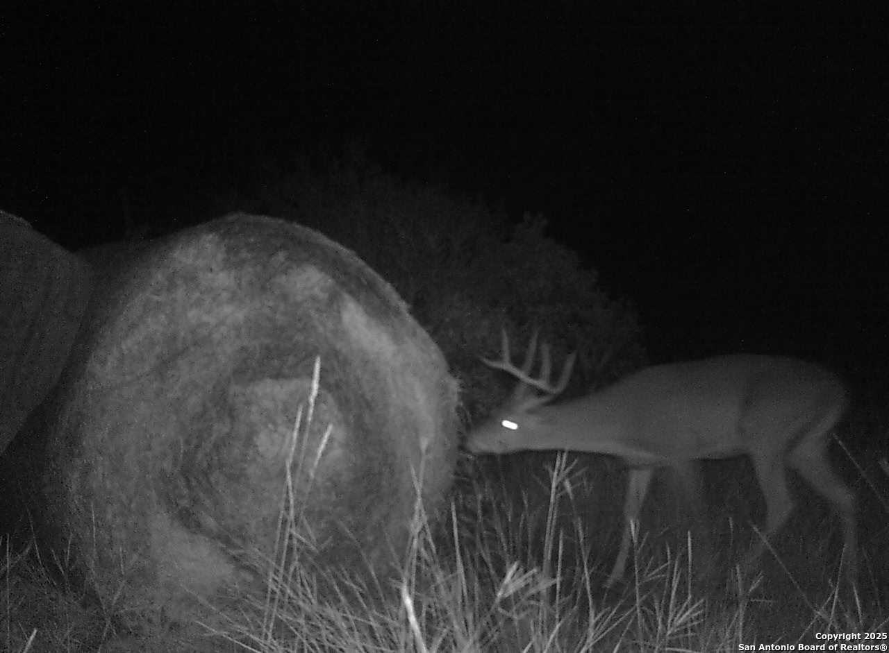 14910 Bullhead Road Barksdale, TX 78880 - Photo 50 of 50 a view of wooden floor