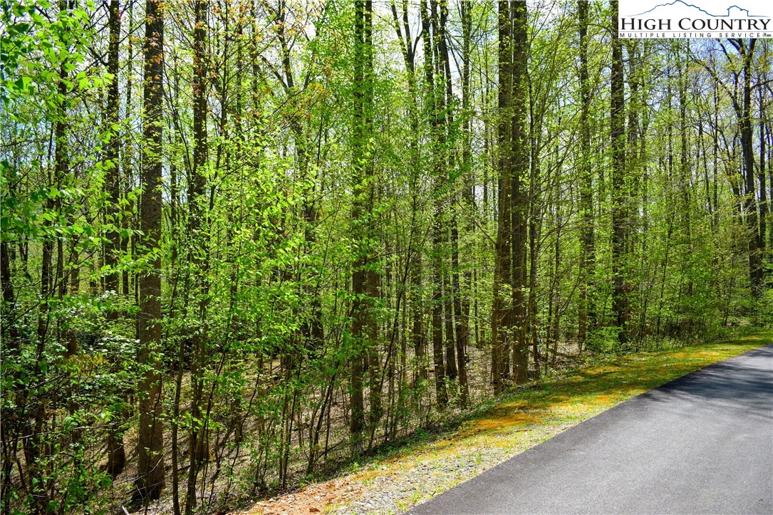 Lot 325 Twin Rivers Drive Boone, NC 28607 - Photo 4 of 5 Gallery Image 4