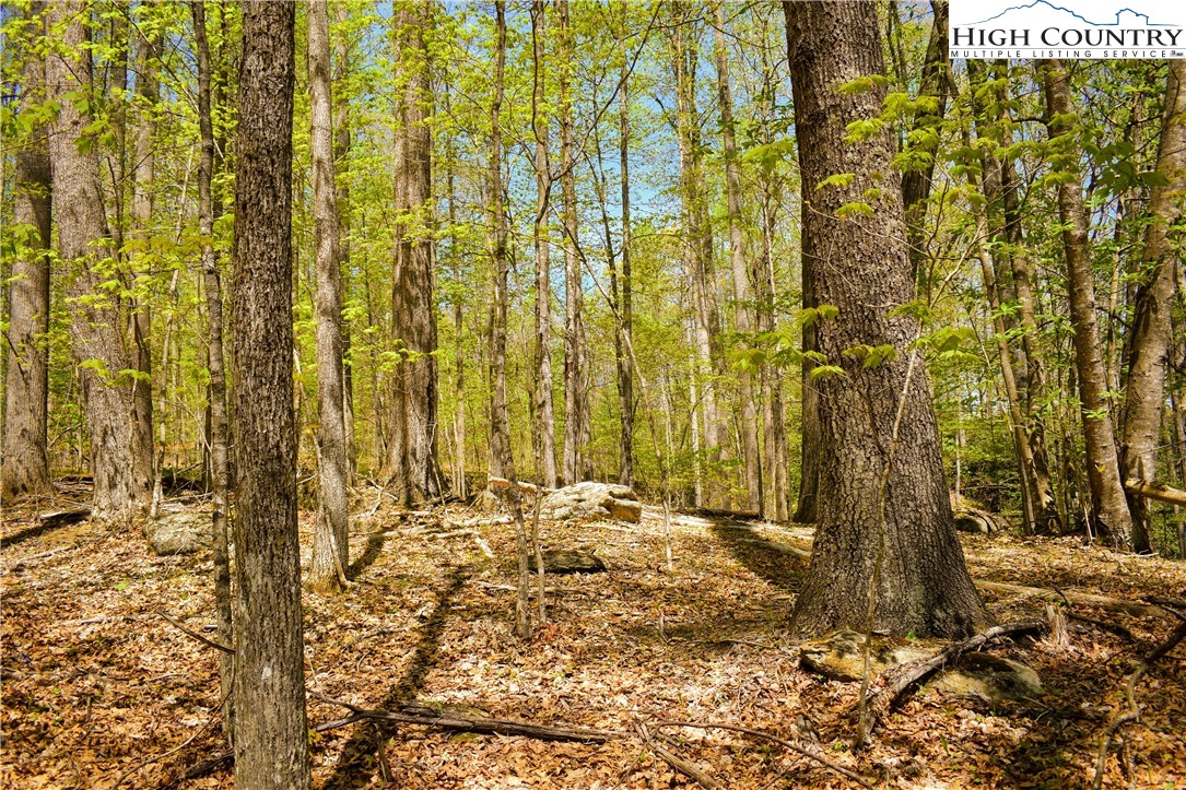 Lot 325 Twin Rivers Drive Boone, NC 28607 - Photo 5 of 5 Gallery Image 5